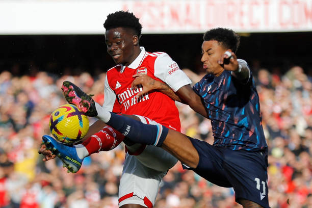 飛燕諾頑強 飛燕諾頑強