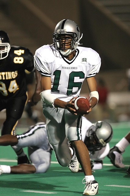 引以为傲的 引以为傲的